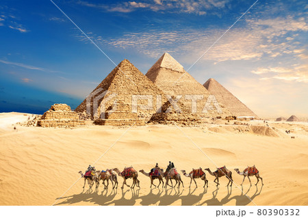 A camel caravan with bedouins by the Pyramids of Egypt in the desert of Giza 80390332