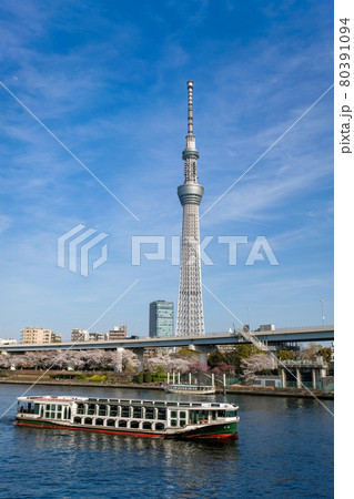 東京都 春の隅田川と東京スカイツリー 80391094