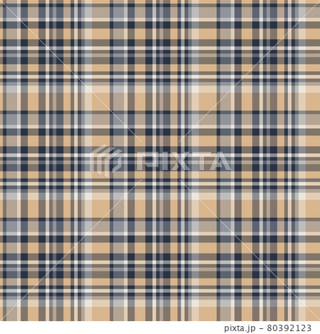 Plaid seamless pattern. Vector background of textile ornament. Flat fabric design. 80392123
