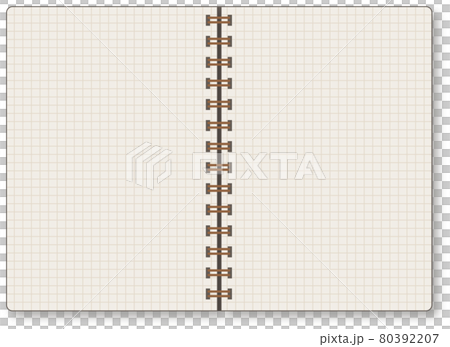 Notebook illustration 80392207