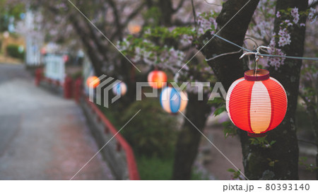 桜祭りのちょうちん 桜祭りのちょうちん 80393140