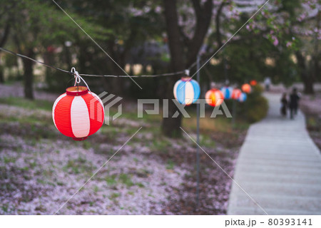 桜祭りのちょうちん 桜祭りのちょうちん 80393141