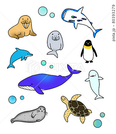 海の生き物イラスト集のイラスト素材