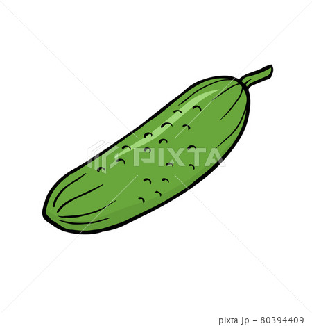 Illustration outline green cucumbers on white background Illustration outline green cucumbers on white background 80394409