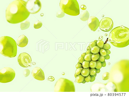 水々しいシャインマスカットの背景素材 80394577