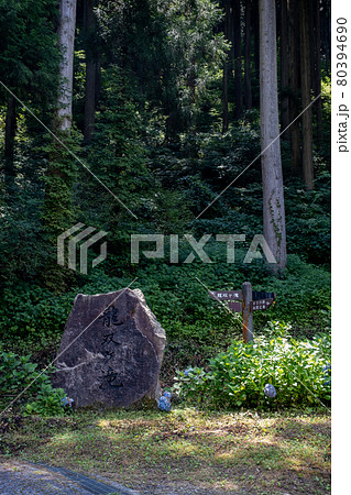 龍双ヶ滝（りゅうそうがたき）夏　2021年7月撮影／福井県池田町東青 80394690