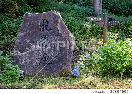 龍双ヶ滝(りゅうそうがたき)夏 2021年7月撮影/福井県池田町東青 龍双ヶ滝(りゅうそうがたき)夏 2021年7月撮影/福井県池田町東青 80394692