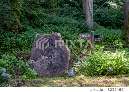 龍双ヶ滝（りゅうそうがたき）夏　2021年7月撮影／福井県池田町東青 80394694