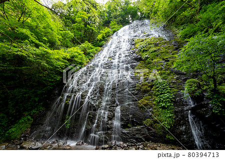 龍双ヶ滝（りゅうそうがたき）夏　2021年7月撮影／福井県池田町東青 80394713