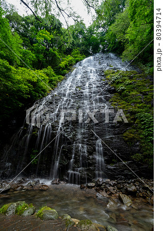 龍双ヶ滝（りゅうそうがたき）夏　2021年7月撮影／福井県池田町東青 80394714