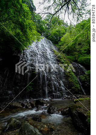 龍双ヶ滝（りゅうそうがたき）夏　2021年7月撮影／福井県池田町東青 80394728