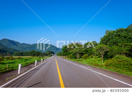 県立榛名公園（群馬県高崎市）、榛名湖メロディーライン（走ると音楽が聞こえる道路）、ゆうすげの道付近 80395000