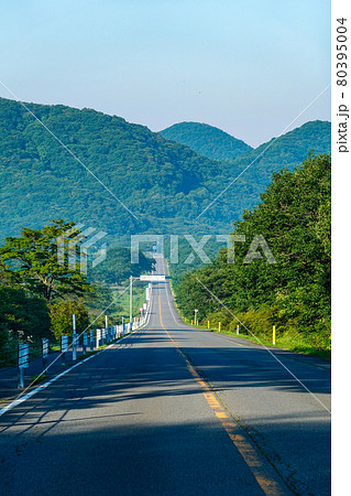 県立榛名公園(群馬県高崎市)、榛名湖メロディーライン(走ると音楽が聞こえる道路)、ゆうすげの道付近 県立榛名公園(群馬県高崎市)、榛名湖メロディーライン(走ると音楽が聞こえる道路)、ゆうすげの道付近 80395004
