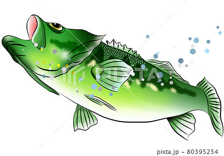 人気の釣り ブラックバスのイラスト素材