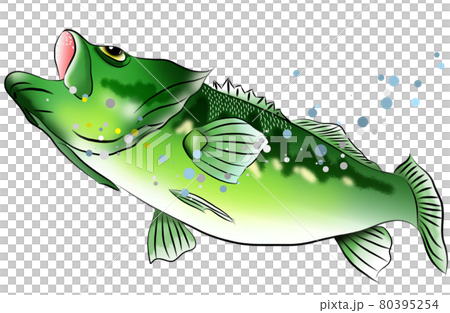 Popular fishing black bass Popular fishing black bass 80395254
