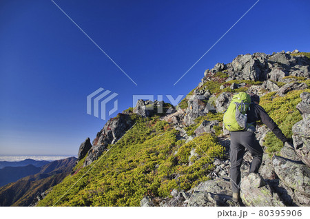 秋の悪沢岳から赤石岳縦走登山 80395906