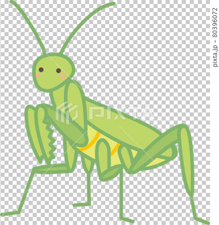 螳螂可愛的插圖 螳螂可愛的插圖 80396072