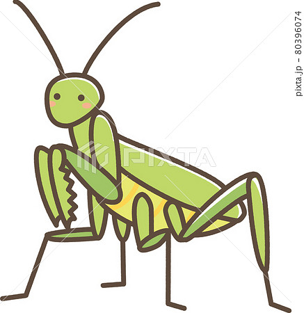 Mantis Cute Illustration Stock Illustration