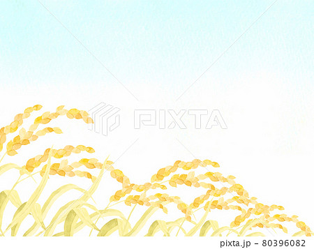 水彩で描いた青空と稲穂の風景 80396082