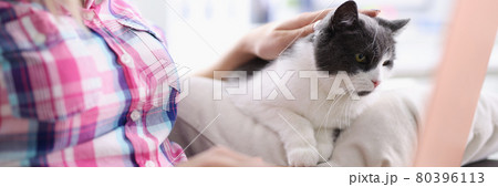 Woman sits on sofa with cat and works remotely on laptop. 80396113