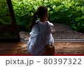 蓮のある生活 80397322