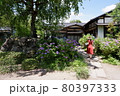 紫陽花 80397333