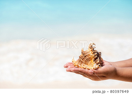 Sea shell in child hand on sandy beach at sunny day at the blue sea background. Relaxation concept with copy space Sea shell in child hand on sandy beach at sunny day at the blue sea background. Relaxation concept with copy space 80397649