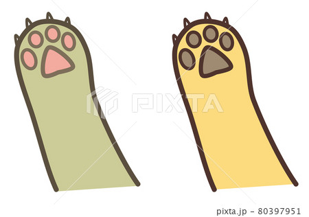 動物の手と肉球の種類別イラスト 80397951