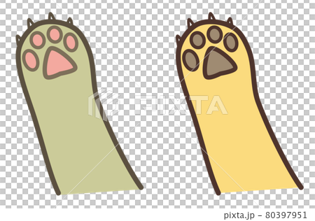 動物の手と肉球の種類別イラスト 80397951
