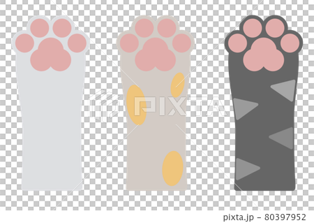 Illustrations by type of animal hands and paws Illustrations by type of animal hands and paws 80397952