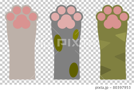Illustrations by type of animal hands and paws 80397953