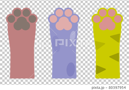 按動物手和爪子類型的插圖 80397954