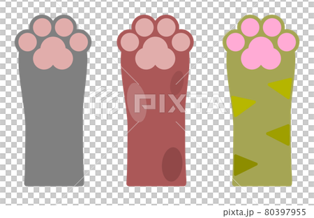 動物の手と肉球の種類別イラスト 80397955