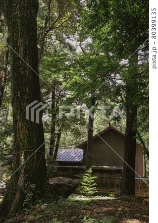 夏の間々田八幡宮 80399135