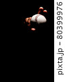 一流野球選手の多彩なボールの握りと変化球投球術 80399976