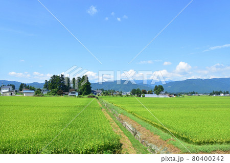 山形鉄道フラワー長井線と車窓からの風景(2020年夏) 80400242