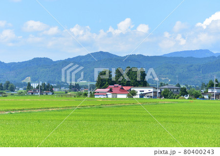 2020年夏の山形鉄道フラワー長井線と車窓からの風景 2020年夏の山形鉄道フラワー長井線と車窓からの風景 80400243