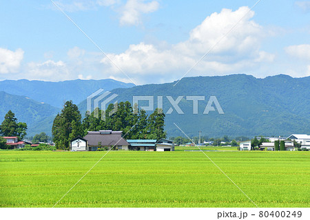2020年夏の山形鉄道フラワー長井線と車窓からの風景 2020年夏の山形鉄道フラワー長井線と車窓からの風景 80400249