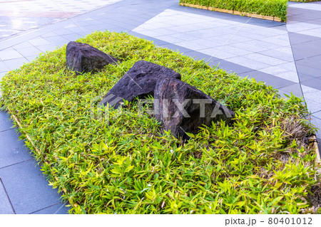植え込みと岩 80401012