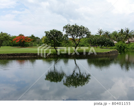 Kind of lake in the summer Kind of lake in the summer 80401155