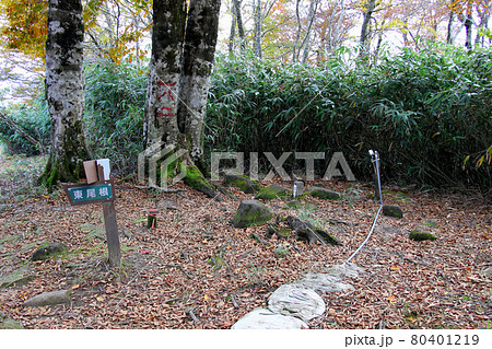 氷ノ山山頂までの登山道側の神大ヒュッテ近くの東尾根への行先表示板　下山時要注意 80401219