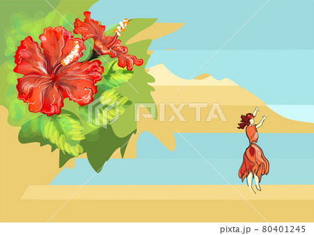 hawaii  illustration 80401245