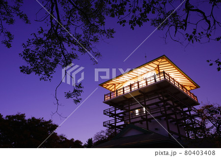 川崎 生田緑地 枡形山展望台の夜景 川崎 生田緑地 枡形山展望台の夜景 80403408