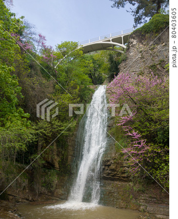 Botanic garden in Tbilisi - attraction for tourists 80403605