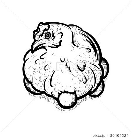 Hen layer with eggs isolated in white background. Egg-layng stock bird. Vector illustration Hen layer with eggs isolated in white background. Egg-layng stock bird. Vector illustration 80404524