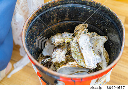 牡蠣小屋　牡蠣食べ放題イメージ　【宮城県】 80404657