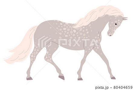 Gray light horse with many small spots. 80404659