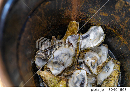 牡蠣小屋　牡蠣食べ放題イメージ　【宮城県】 80404663