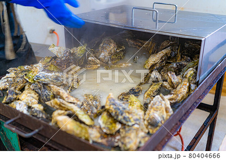 牡蠣小屋 牡蠣食べ放題イメージ 【宮城県】 牡蠣小屋 牡蠣食べ放題イメージ 【宮城県】 80404666