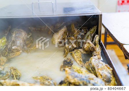 牡蠣小屋　牡蠣食べ放題イメージ　【宮城県】 80404667